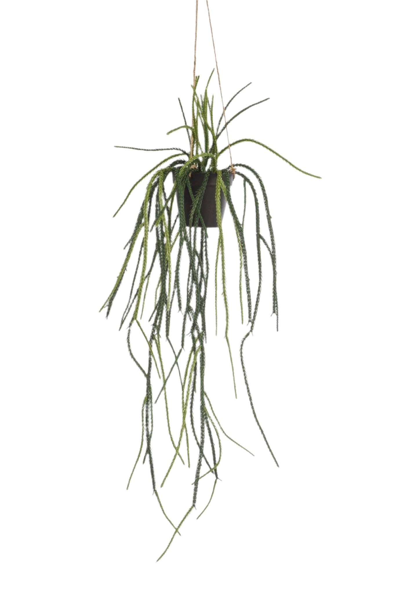 Artificial Plant - Rhypsalis - Coral cactus - 85 cm