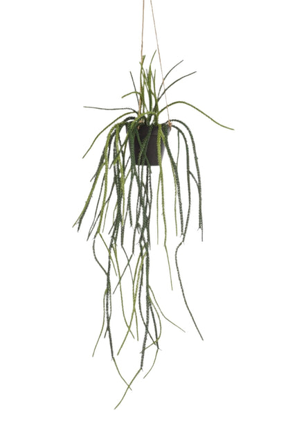 Artificial Plant - Rhypsalis - Coral cactus - 85 cm