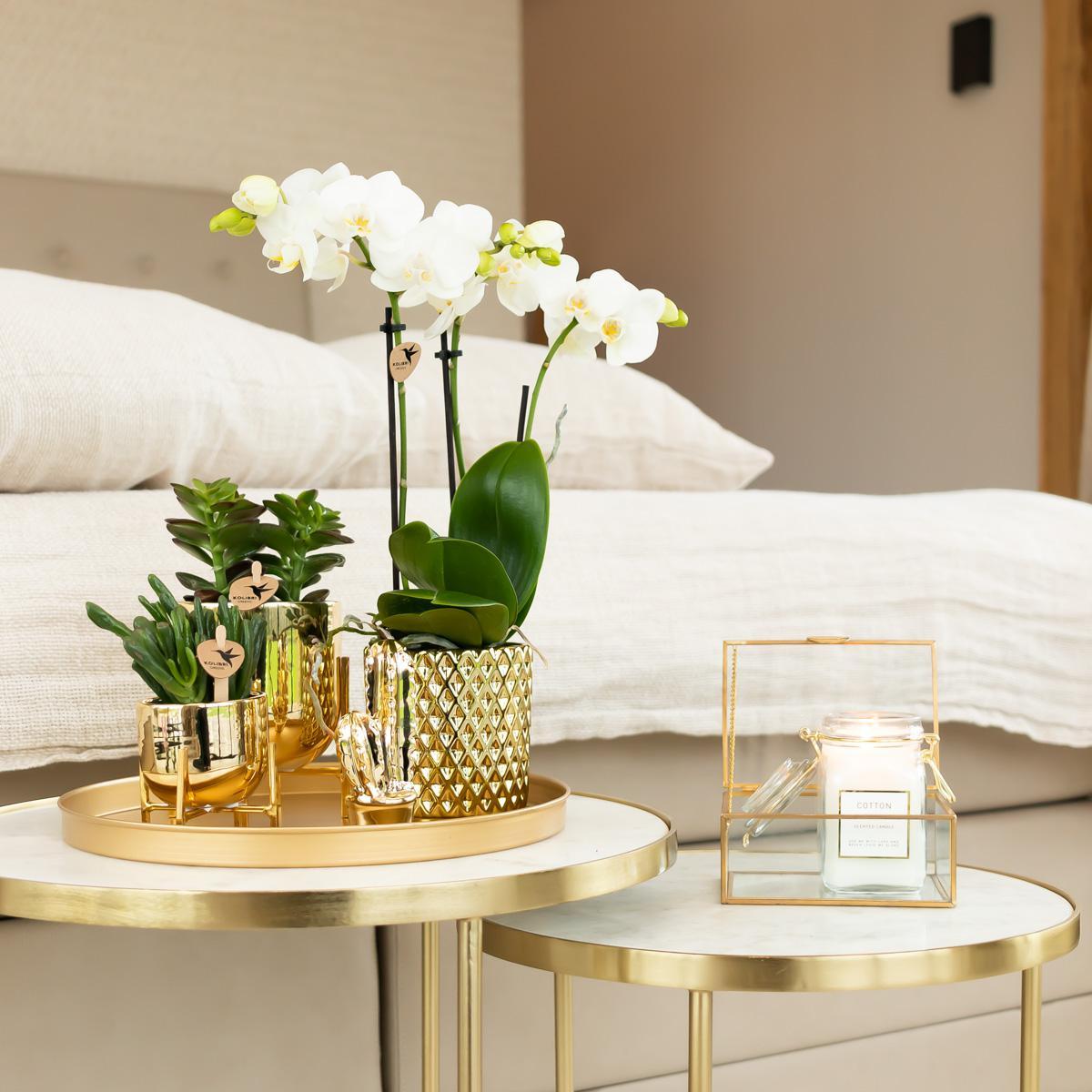 Metallic Diamond Golden Ceramic Pot - Size  9cm
