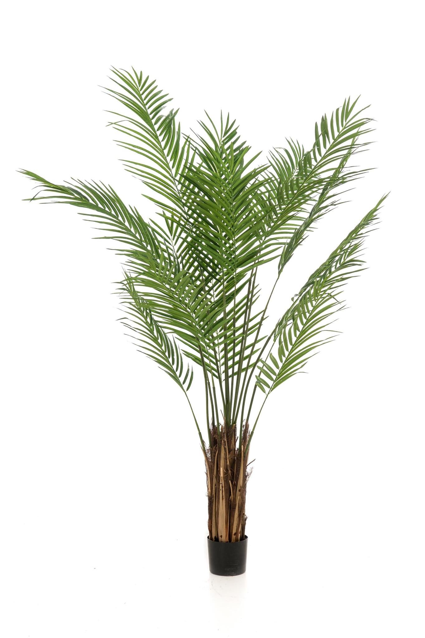 Kunstboom - Areca Lutescens - Goudpalm - 180 cm
