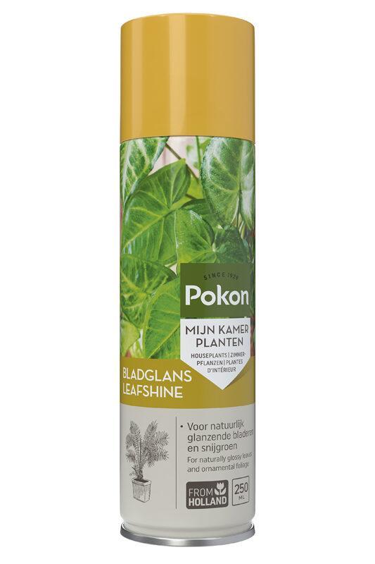 Pokon Blad glans 250 ml