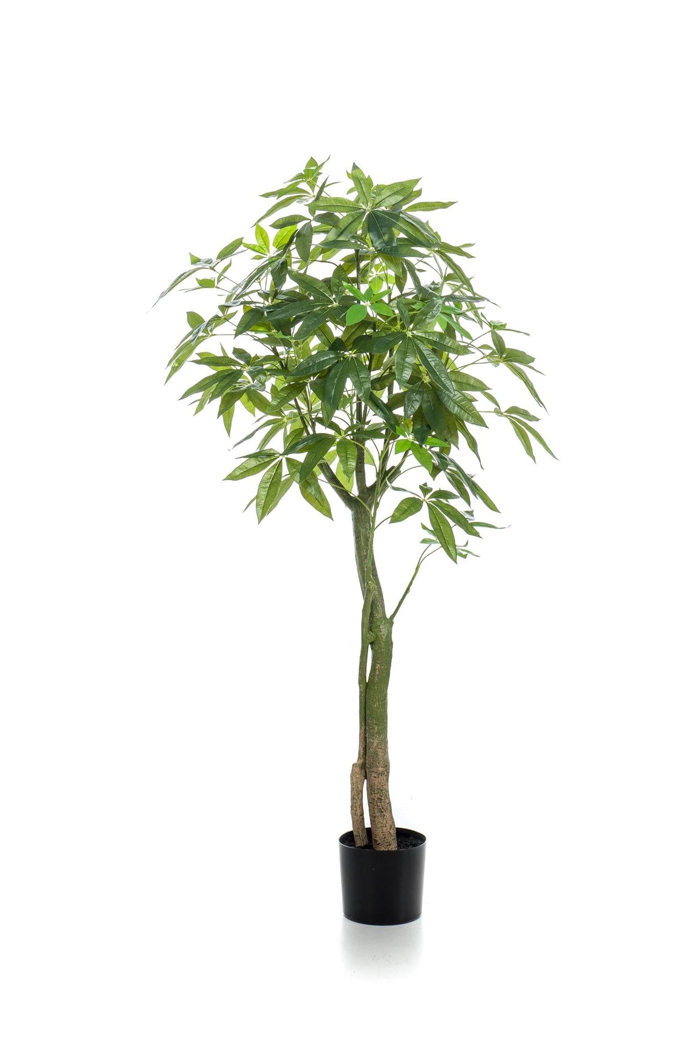 Kunstboom - Pachira Aquatica - Geldboom - 150 cm tot 180 cm