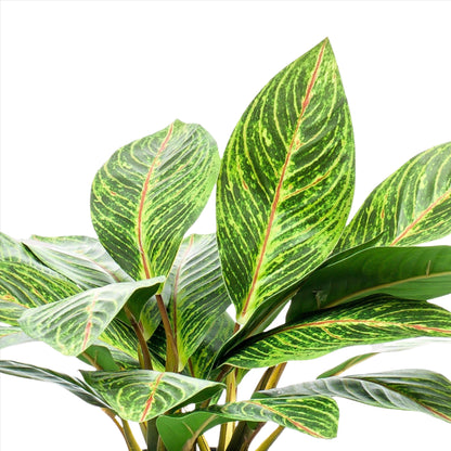 Artifial Plant - Croton Codiaeum - Wonder Bush - 38 cm