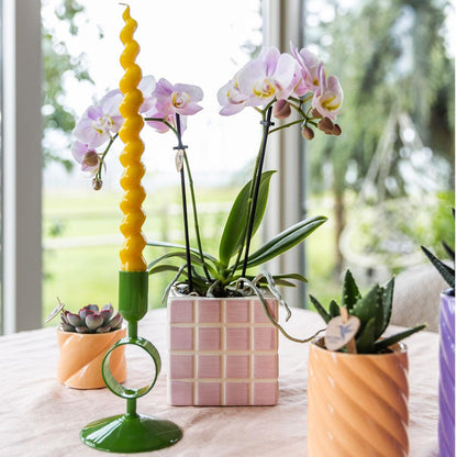 Pink Orchid + Cube Pot Size 9cm