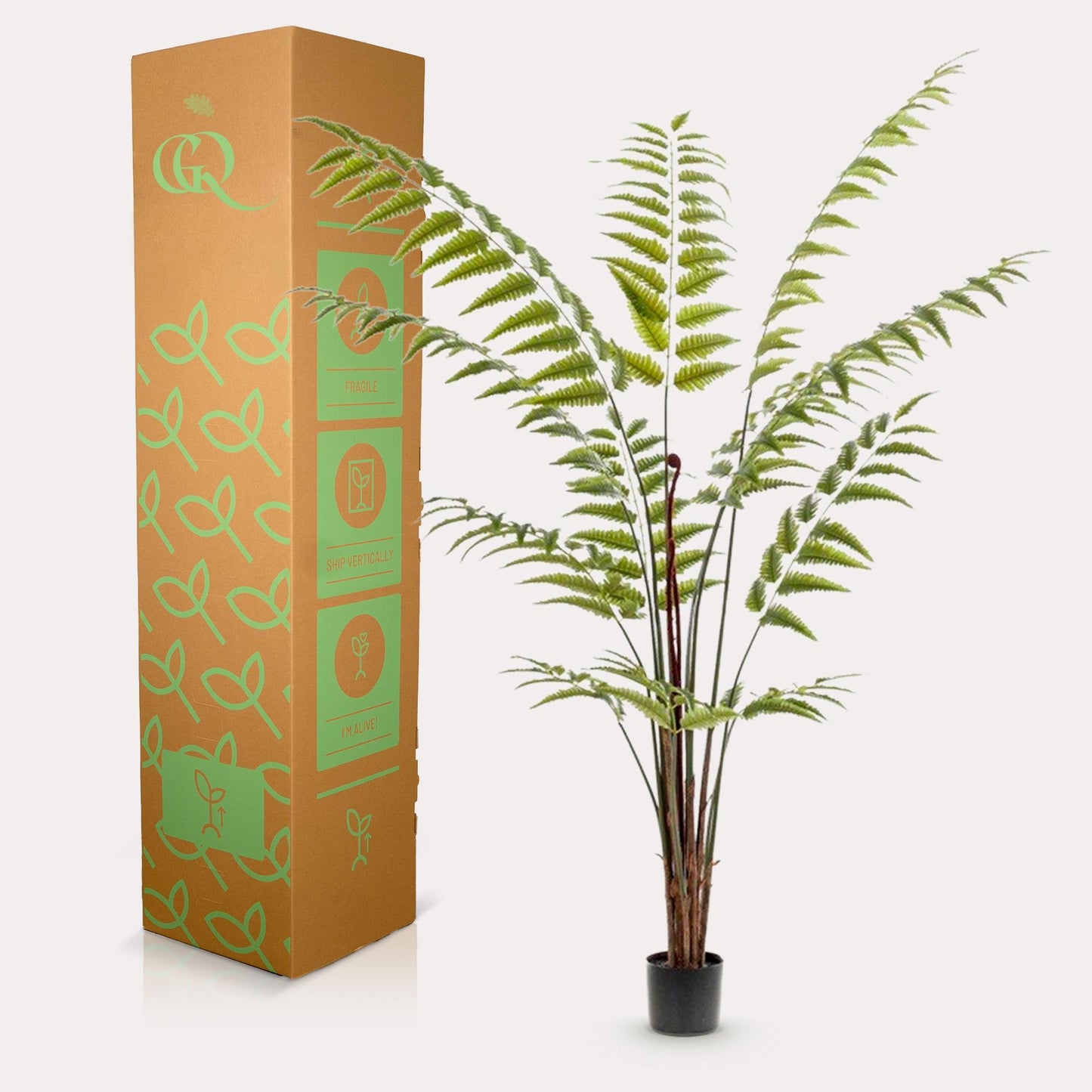 Planta Artificial - Rumohra Adiantiformis - Helecho de Cuero - 180 cm