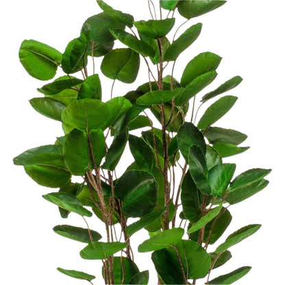 Planta artificial - Polyscias - Aralia - 105 cm