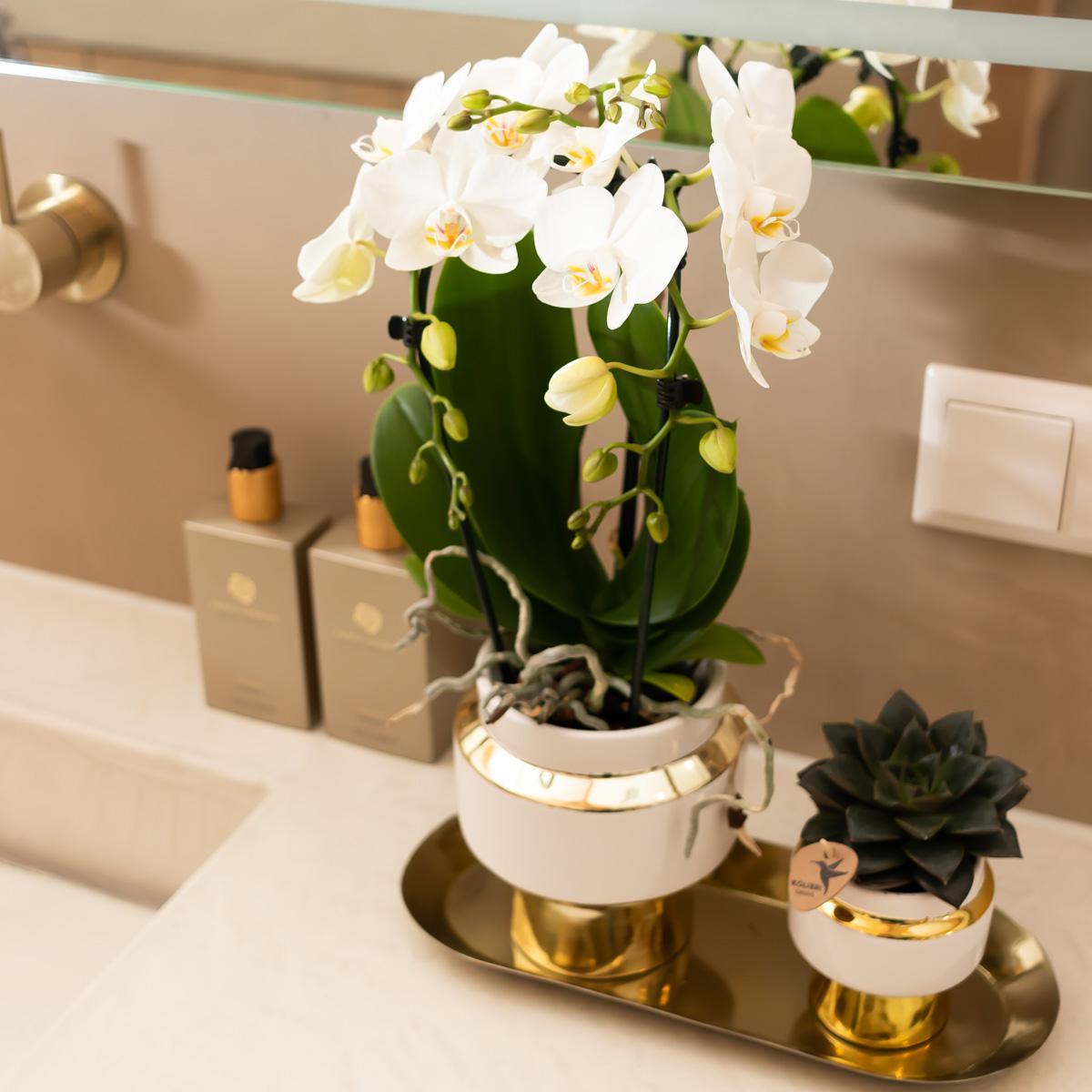 Le Chic White Ceramic Pot with Gold Details - Size 9cm