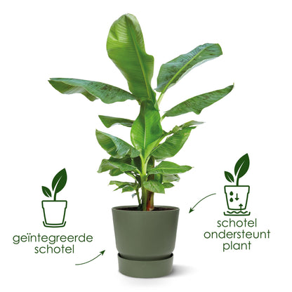 Elho Pot Greenville Rond wit - D30 x H28