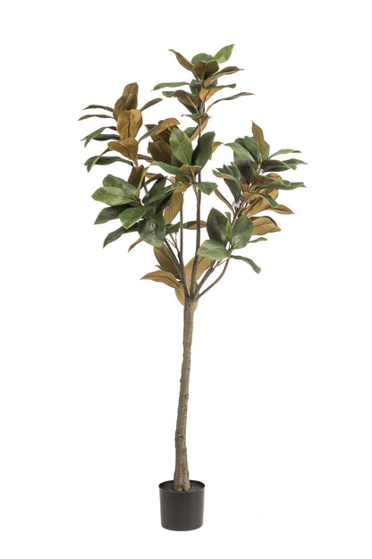 Kunst Magnolia Boom Grandiflora - 150 cm