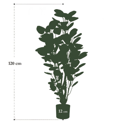 Planta artificial - Polyscias - Aralia - 105 cm