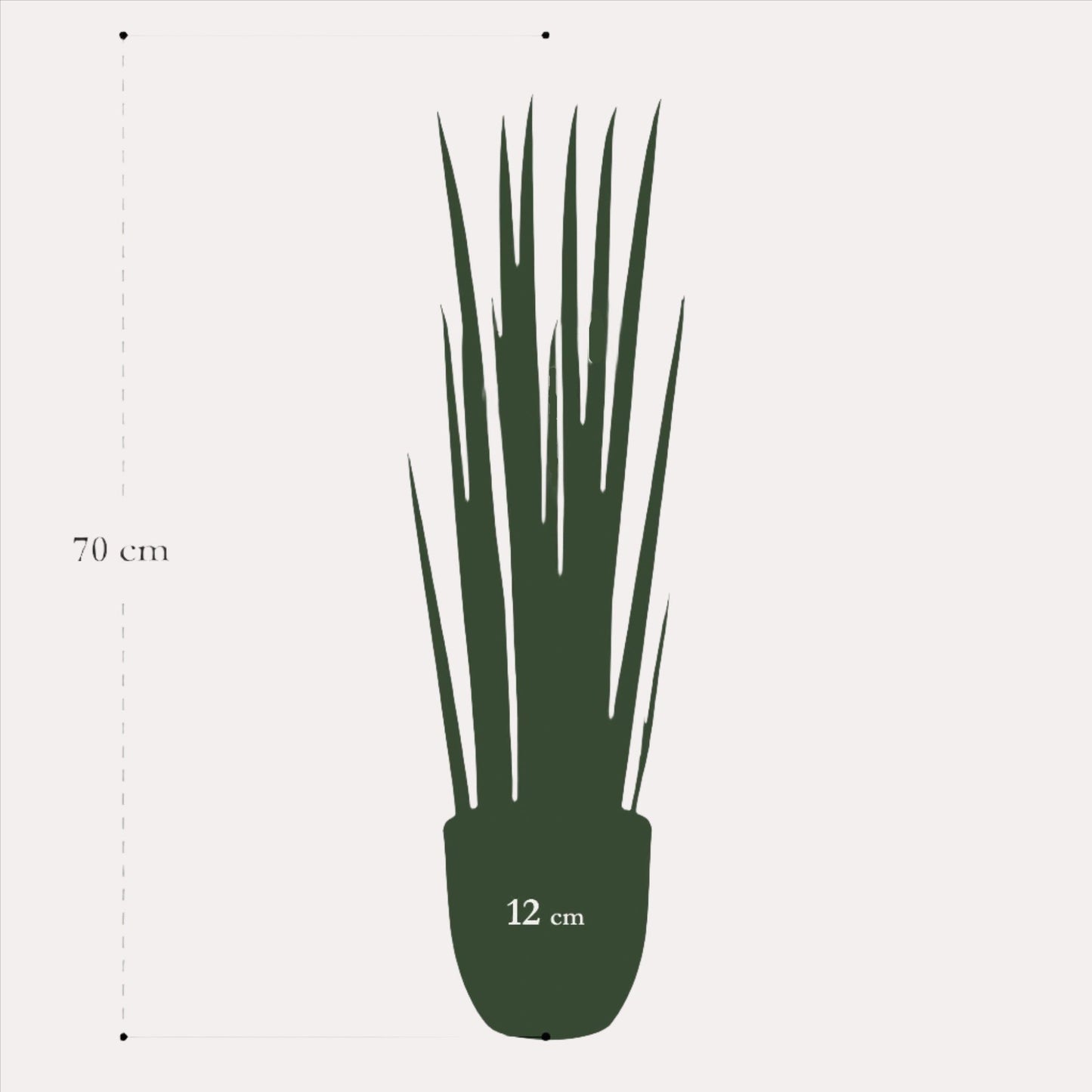 Kunstplant - Sanseveria Cylindrica - Vrouwentong - 70 cm