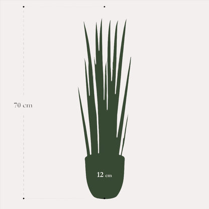 Kunstplant - Sanseveria Cylindrica - Vrouwentong - 70 cm