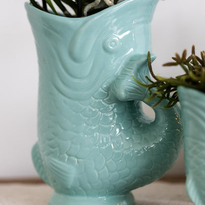 Plant Set Fish Turquoise - Set of White Orchid 9cm + Green Succulent Crassula Hobbit 6cm - incl. Turquoise Ceramic Pots