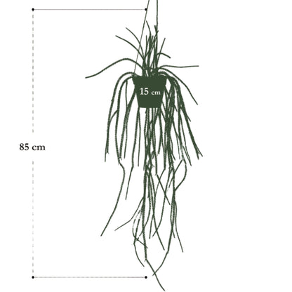 Artificial Plant - Rhypsalis - Coral cactus - 85 cm