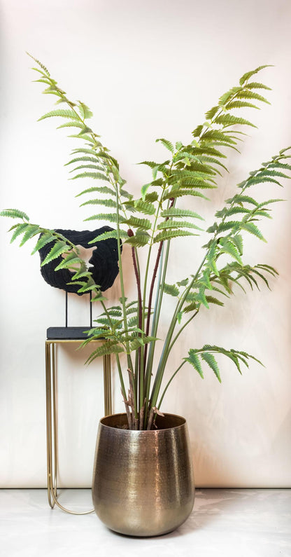 Planta Artificial - Rumohra Adiantiformis - Helecho de Cuero - 180 cm