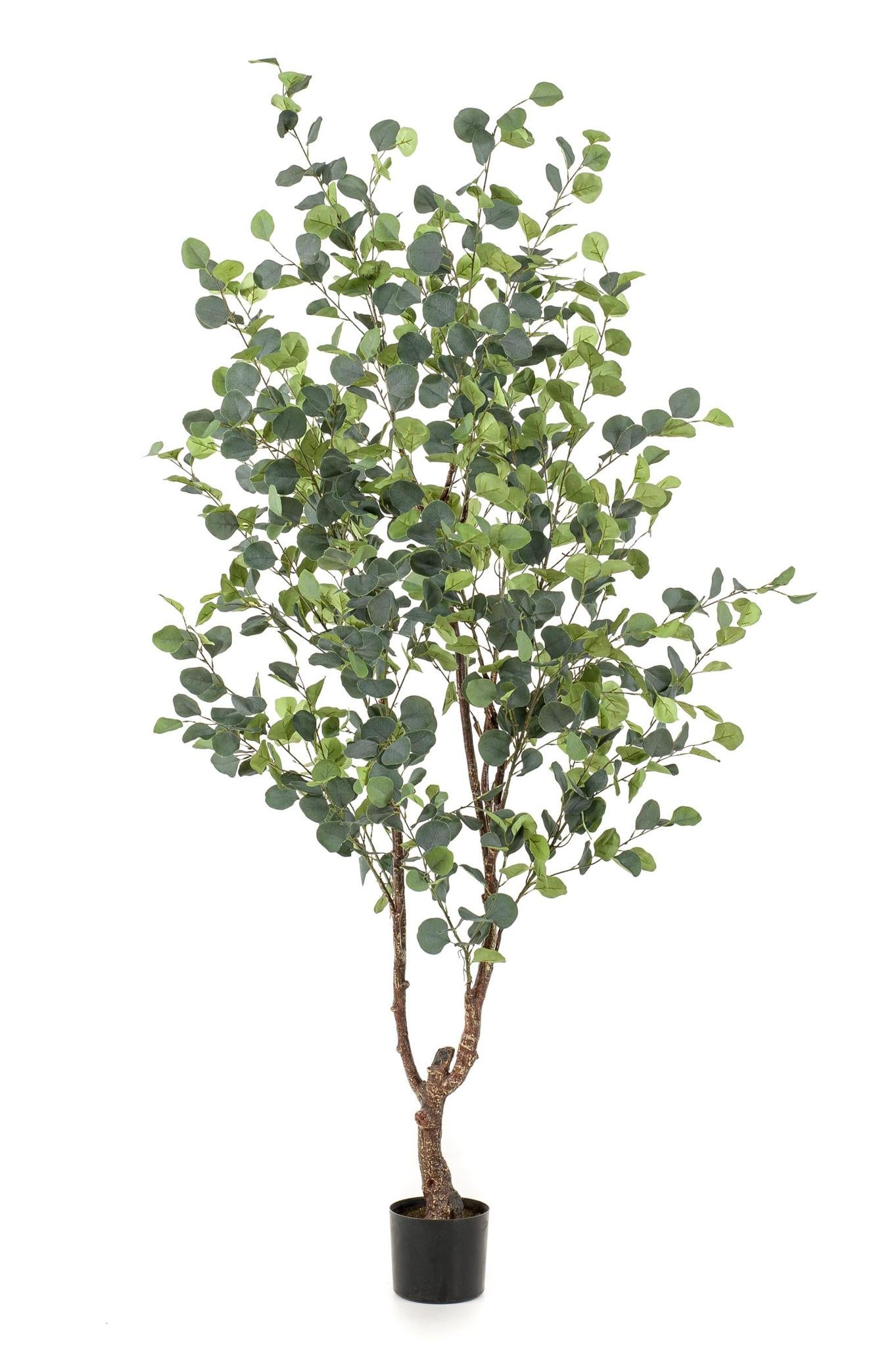 Kunstplanten Eucalyptus - Blauwe gomboom - 180 cm