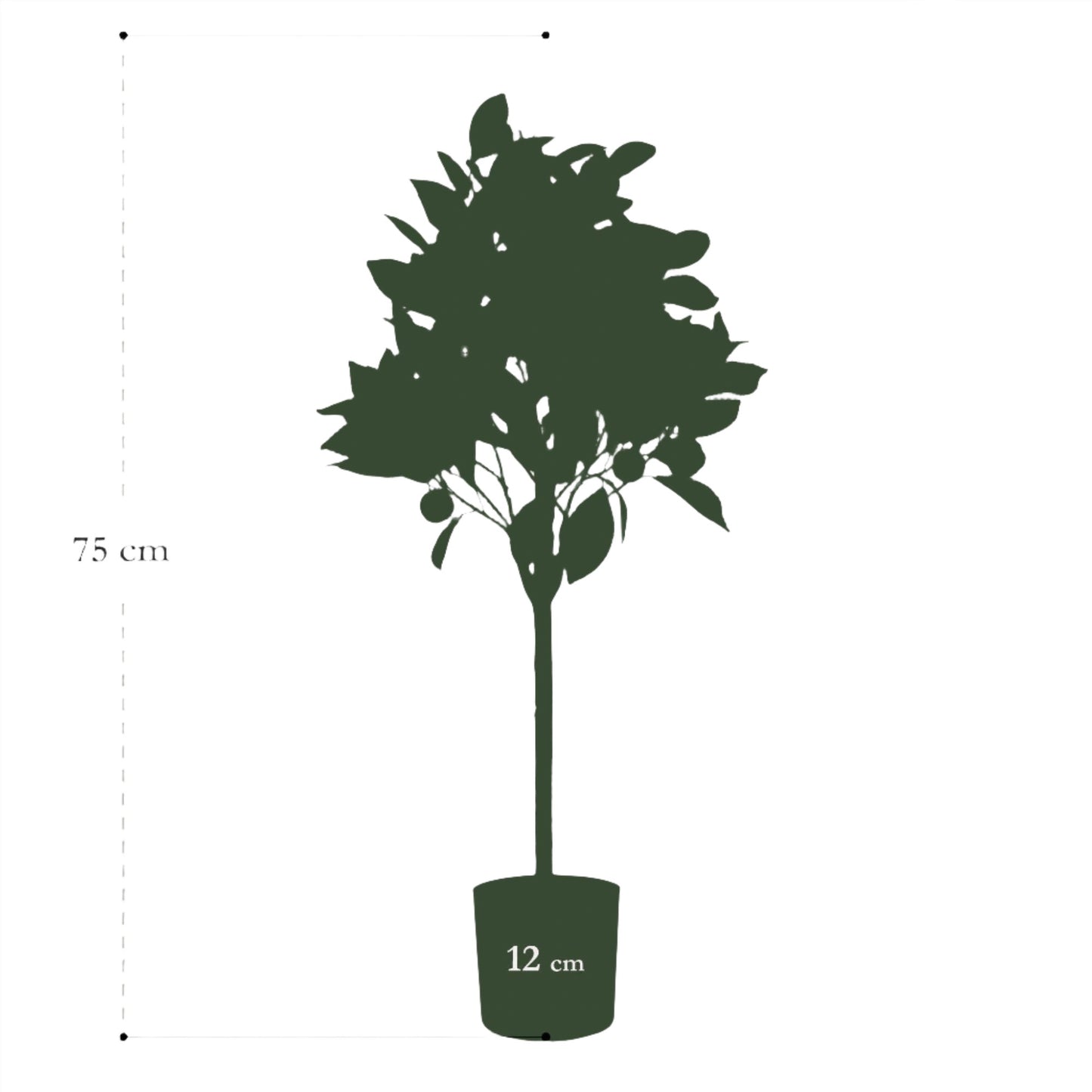 Kunstboom - Citrus Sinensis - Sinaasappelboom - 75 cm