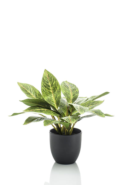 Artifial Plant - Croton Codiaeum - Wonder Bush - 38 cm