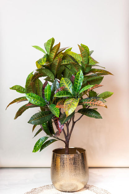 Planta artificial - Croton Codiaeum - Arbusto maravilloso - 120 cm